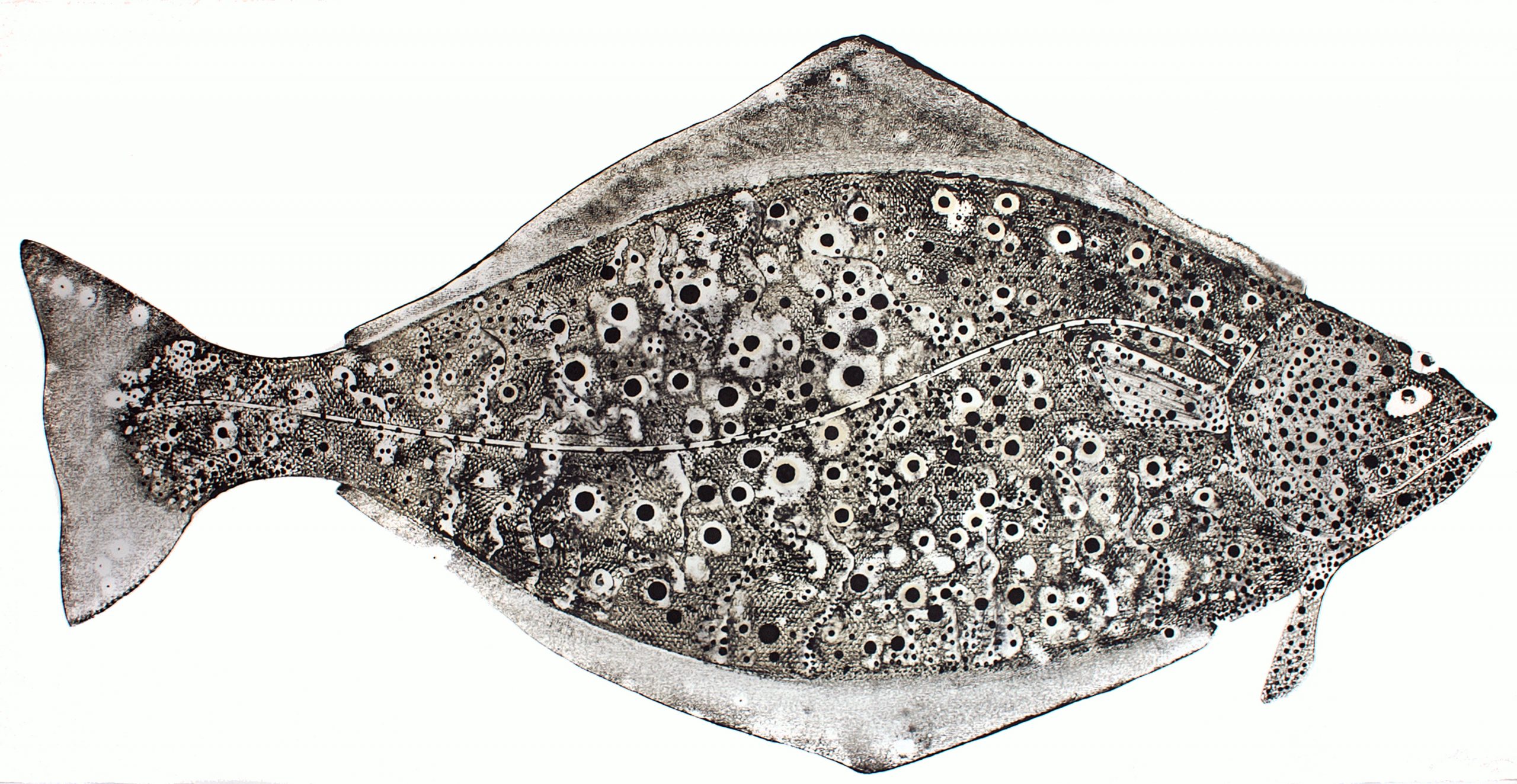 monoprint of a halibut
