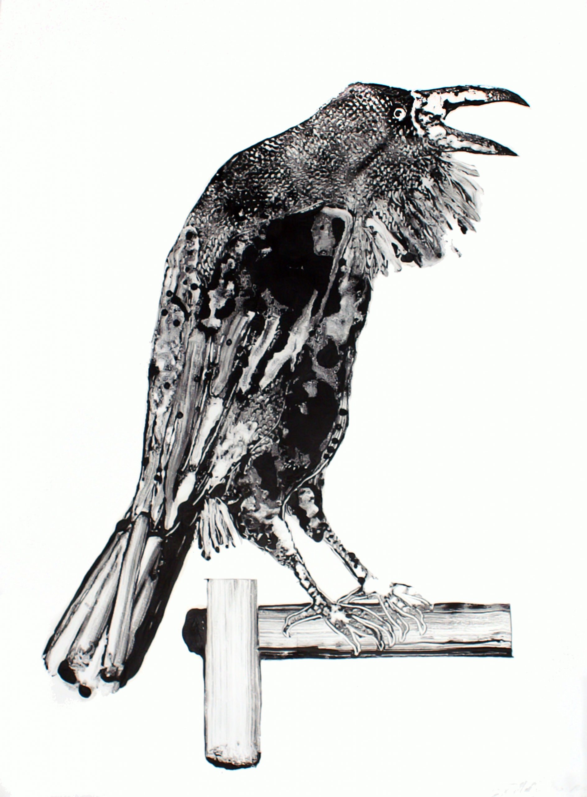 Raven